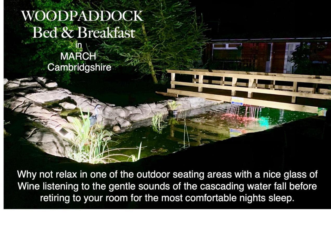 Woodpaddock Bed & Breakfast March Extérieur photo