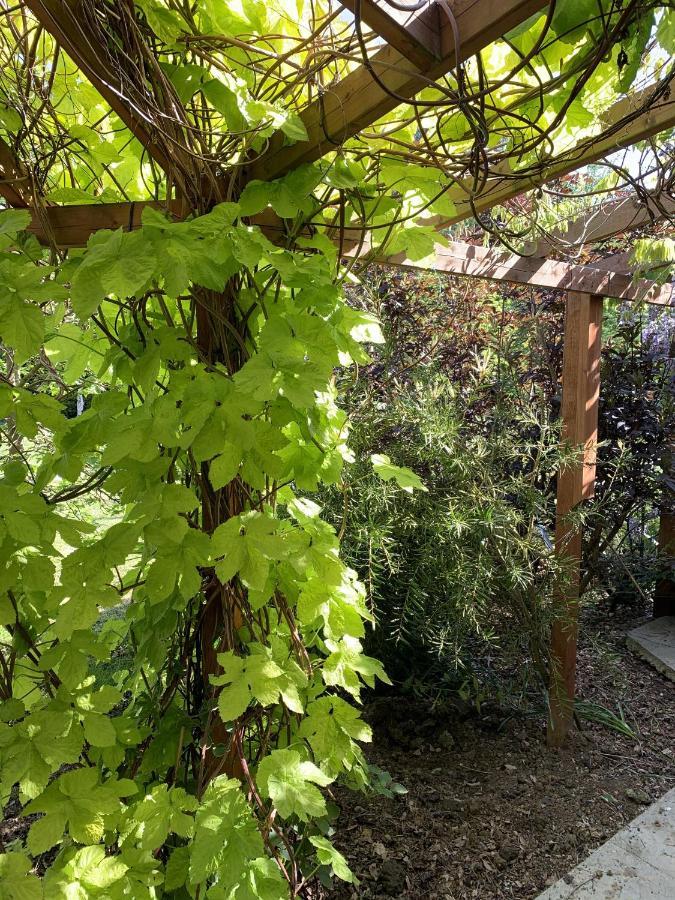 Woodpaddock Bed & Breakfast March Extérieur photo